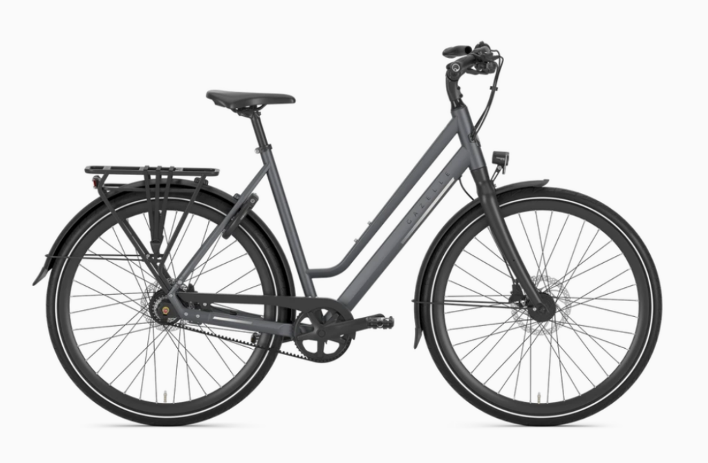 Gazelle Chamonix s11